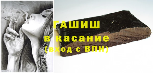 твердый Новозыбков