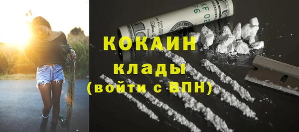 мет Алексин