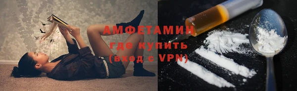 мет Алексин