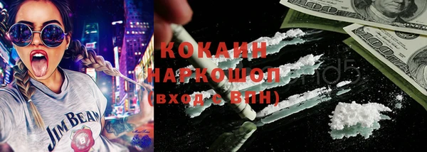 твердый Новозыбков